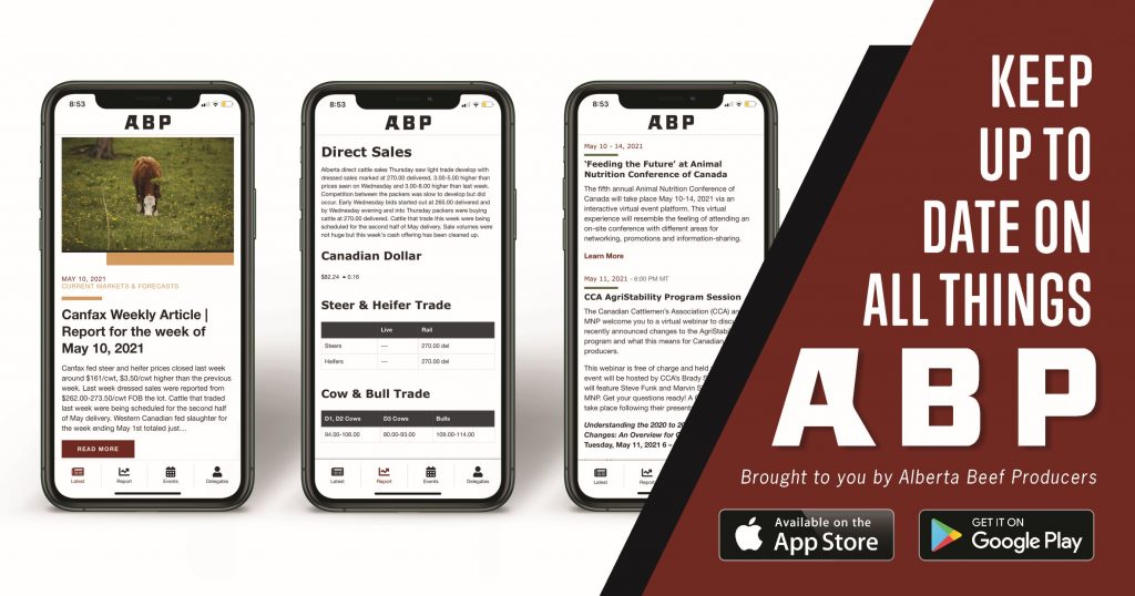 Keep up to date on all things ABP by downloading the ABP Daily app. 